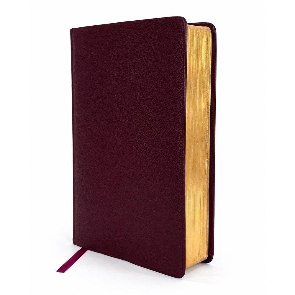 Vintage Defender's Study Bible KJV Henry Morris Bonded Leather Gold Gilt 1995